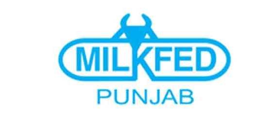 milkfed punjab