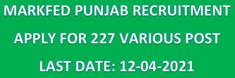 MARKFED RECRUITMENT 2021